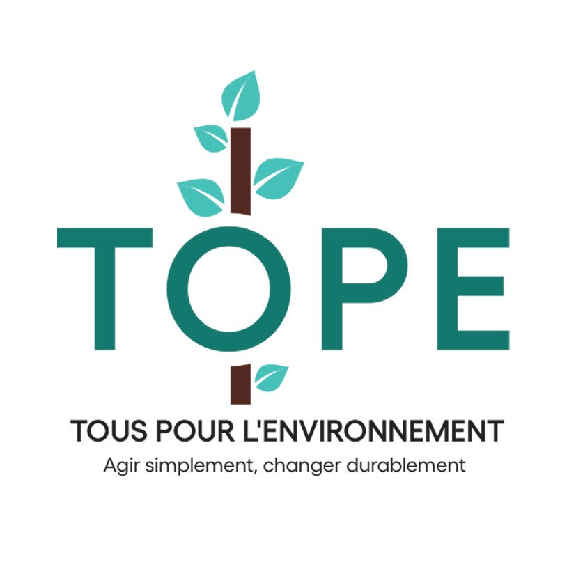 Project Design & Grant Writing for NGOs and Social Entrepreneurs